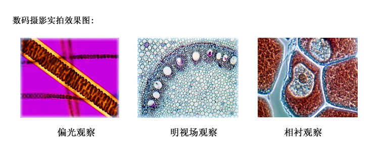 L3000 廣州粵顯光學(xué)儀器有限責(zé)任公司_3.jpg